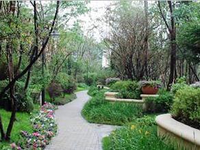 無錫綠化養護工程 無錫綠化養護工程