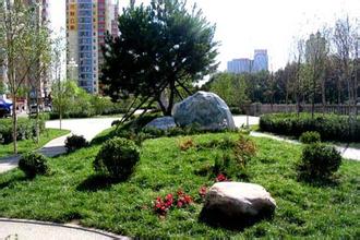 無錫綠化養護 無錫綠化養護