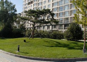 無錫廠區綠化養護 無錫廠區綠化養護