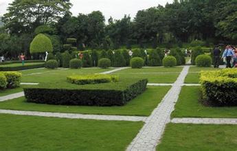 無錫綠化養護 無錫綠化養護