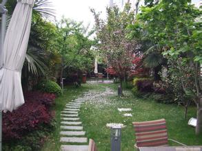 無錫綠化養護工程 無錫綠化養護工程