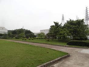 無(wú)錫綠化養(yǎng)護(hù) 無(wú)錫綠化養(yǎng)護(hù)