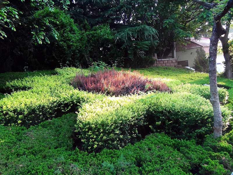 廣場綠化養(yǎng)護(hù).jpg 廣場綠化養(yǎng)護(hù).jpg