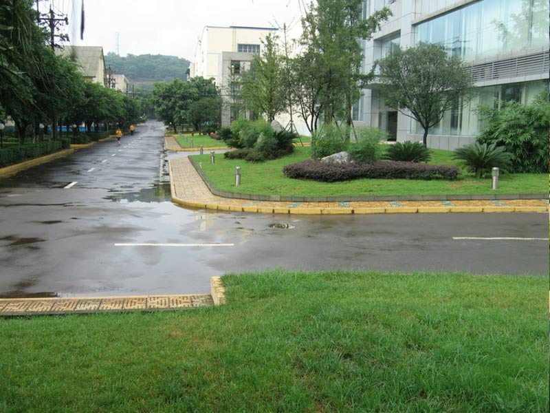 廠區綠化.jpg 廠區綠化.jpg