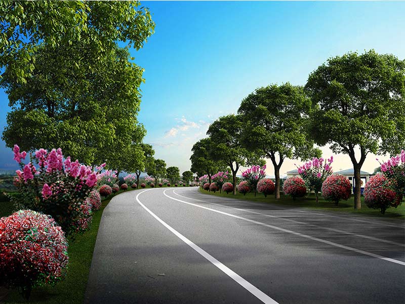 公路綠化養護.jpg 公路綠化養護.jpg