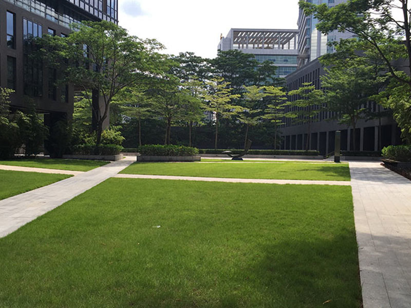 廠區(qū)綠化養(yǎng)護(hù).jpg 廠區(qū)綠化養(yǎng)護(hù).jpg