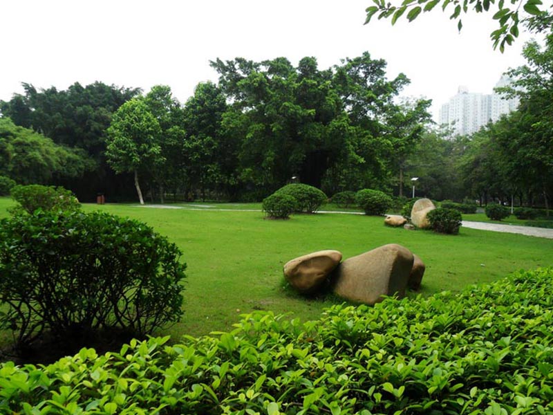 廣場綠化養(yǎng)護.jpg 廣場綠化養(yǎng)護.jpg