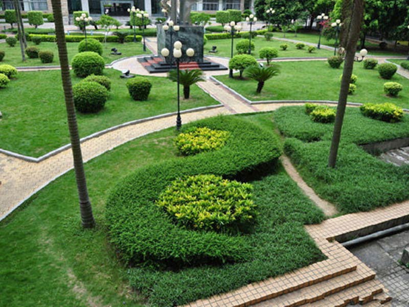 無錫綠化植物.jpg 無錫綠化植物.jpg