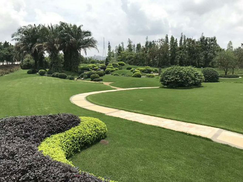 無錫綠化養護.jpg 無錫綠化養護.jpg